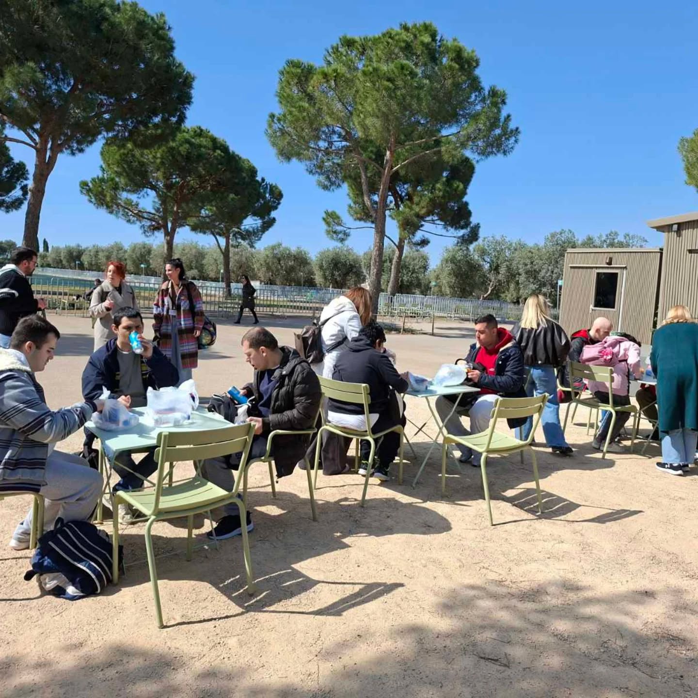 People sit at pale green outdoor tables and chairs in a sunny, open courtyard, eating and chatting under tall trees with a blue sky above.